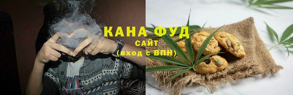 шишки Абаза