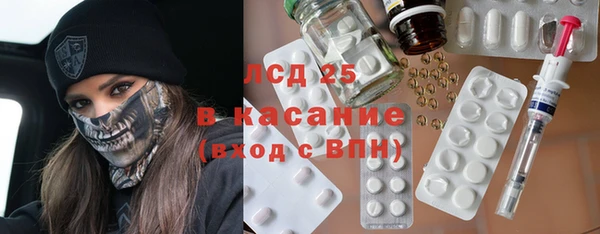 шишки Абаза