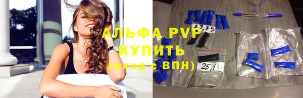 шишки Абаза