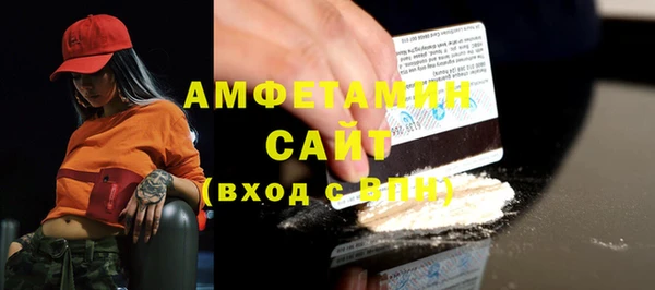 шишки Абаза