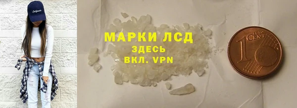 шишки Абаза