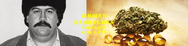 шишки Абаза