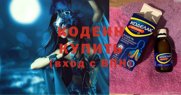 шишки Абаза