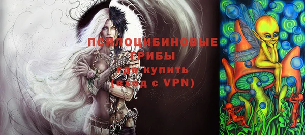 шишки Абаза