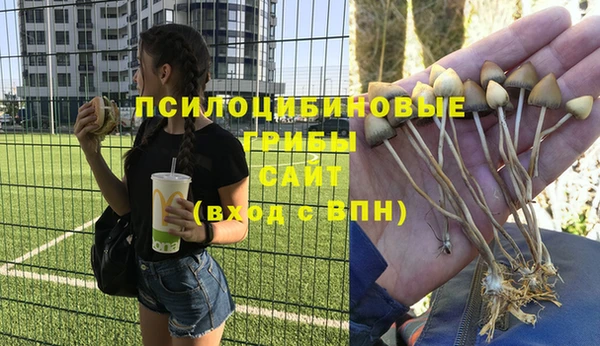 мет Абинск