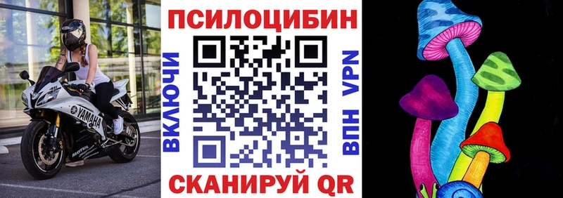 Псилоцибиновые грибы прущие грибы  Болохово 